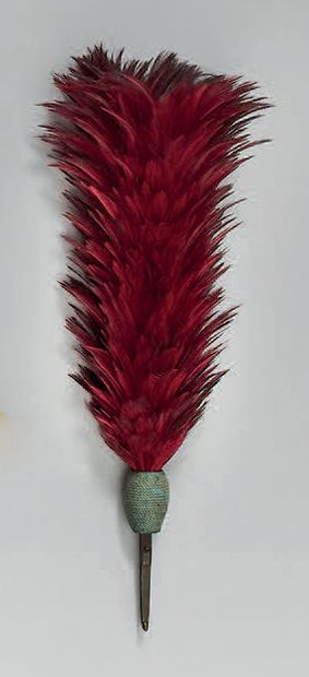Red plumet ; length 27 cm ; it is equipped...