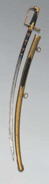 Light cavalry officer's saber, gilt brass...