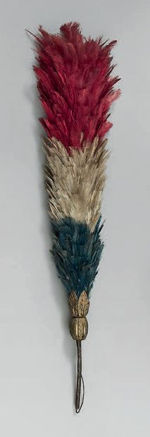 Large tricolor plumeet ; length 40 cm ; it...