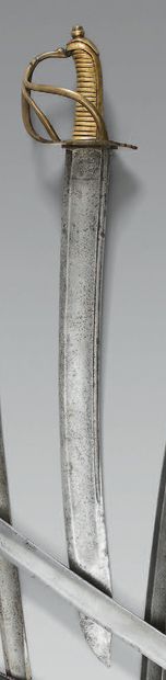 null Très rare sabre de marine modèle 1779, dit "Sartine", garde en laiton à trois...