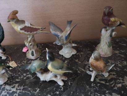 null Lot de groupes Oiseaux en porcelaine polychrome (8 pièces, en l'état)