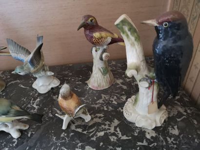 null Lot de groupes Oiseaux en porcelaine polychrome (8 pièces, en l'état)