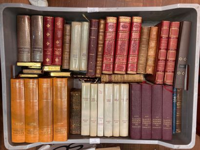 null 
3 MANETTES Lot de volumes XIXème siècle et quelques Collection La Pléiade




Lot...