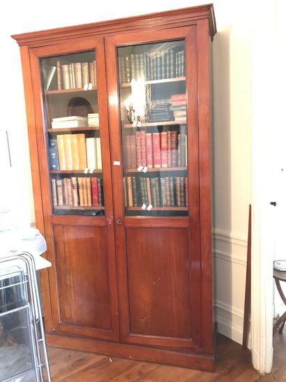Mahogany bookcase, opening with two glass...