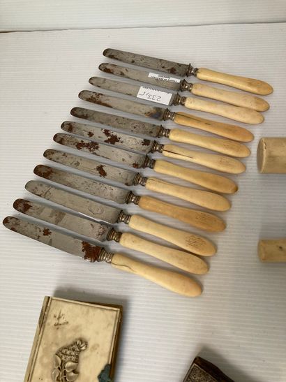 null Lot including: 2 crosses, 12 small knives with ivory handles (cracks),

1 notebook...