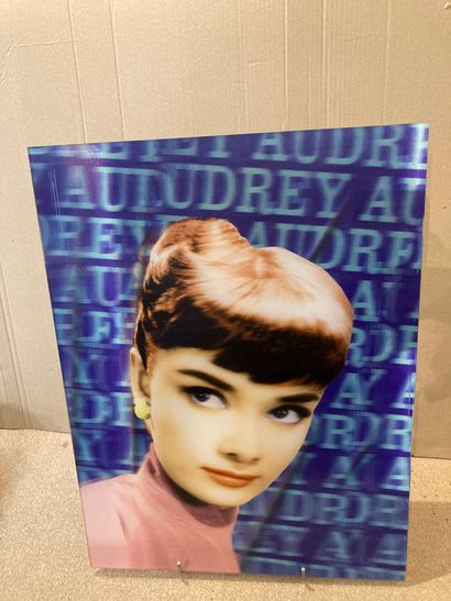  Audrey Hepburn 
60 x 45 cm 
Holopeinture 
Dominique Mulhem 
Lot vendu en l'état