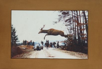  Hunting in Sologne. Framed photographic print. Size : 24 x 39 cm