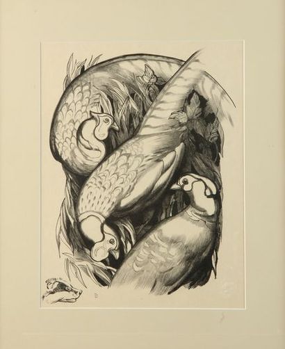 null Paul JOUVE (1878-1973). Original lithograph, on Japon paper. Monogrammed lower...