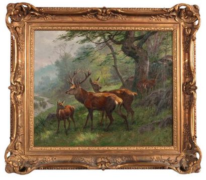 null Georges Frédéric ROTIG (1873-1961). The herd of deer in the forest. Oil on canvas...