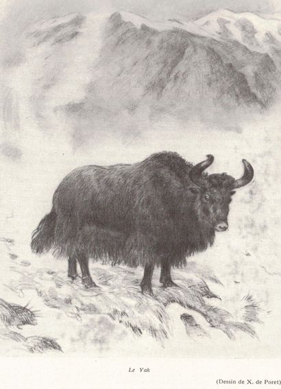 null - CHAVANE. Wildlife and hunting in the mountains. Ill. by X. de Poret. Crepin...
