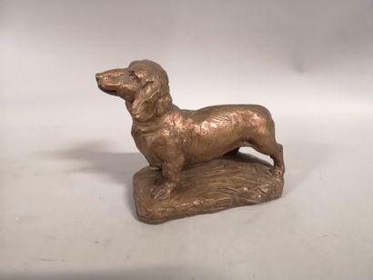 null Valentina ZEILE (1937). Dachshund. Bronze with a medallic patina, signed and...