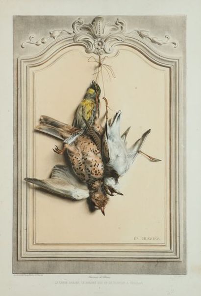 null Edouard TRAVIES. The drake thrush, the zizi sparrow, the ringed plover. Very...