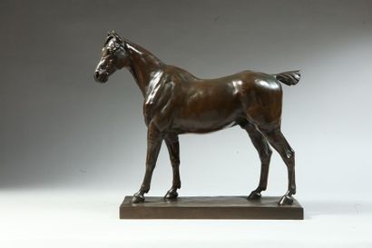 null Emmanuel SANTA COLOMA (1829-1886). Horse. Bronze with brown patina signed in...