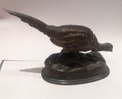 null 
Jules MOIGNIEZ (1835-1894) Pheasant Bronze with a light brown patina, signed...