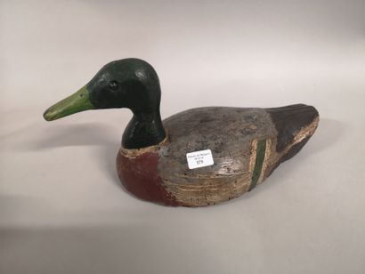 null Canard colvert : (gros) Très bel appelant tout liège yeux sulfure de la côte...