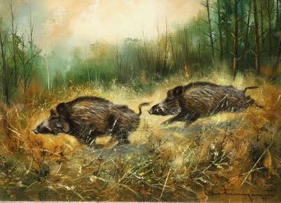 null Jean Claude LESTRINGANT. Wild boars running. Oil on canvas signed and dated...