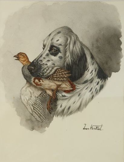 null Jean HERBLET (1893-1985). English setter and grey partridge. Watercolour on...