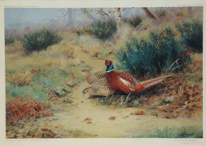null Richard ROBJENT. Company of grey partridges. Pheasants. Two framed colour reproductions,...