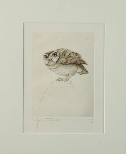 null Claude ZOGRAPHOS. Little Owl. Engraving in colour numbered 40/100 on the lower...