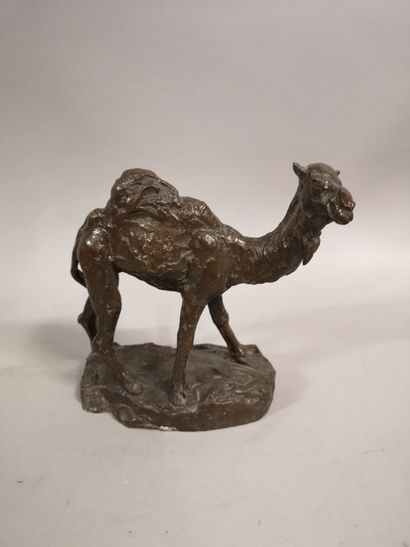 null Valentina ZEILE (1937). The dromedary. Bronze with brown patina signed and numbered...