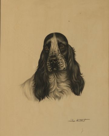 null Jean HERBLET (1893-1985). Black and white cocker spaniel. Watercolour on paper...