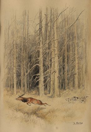 null Charles Jean HALLO (1882-1969). Deer hunting. The debuchery. Watercolor charcoal...