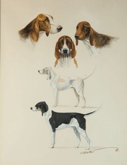 null François LEBERT (1948). Étude de chiens. Aquarelle signée et datée 82 en bas...