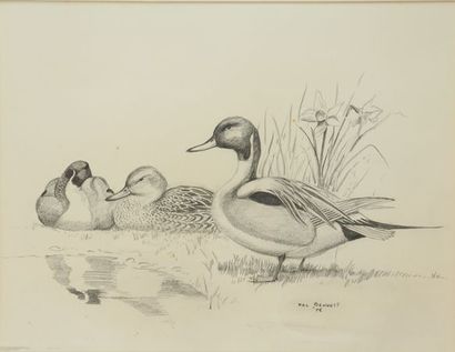 VAL BENNETT (1923-2013). Pilet Ducks. Pencil...
