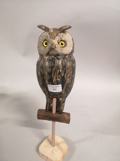 null Short-eared Owl: (Chôt petit) Calling all woods for hunting larks. Around 1...