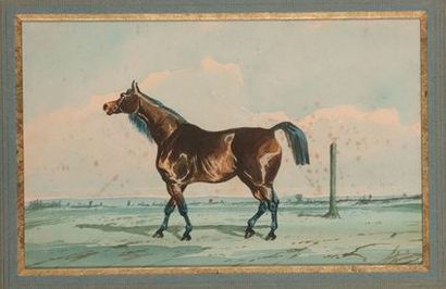Johnny AUDY (act. 1850-1880). Thoroughbred...