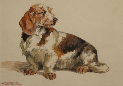 null Jacques CARTIER (1907-2001). Small basset hound griffon vendéen. Watercolour...