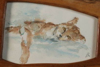 null JSL. The lion cub. Watercolor on paper, monogrammed lower right and framed....
