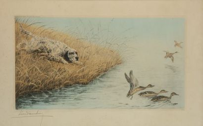 null Léon Danchin. Setter anglais et halbrans. Gravure en couleurs signée en bas...