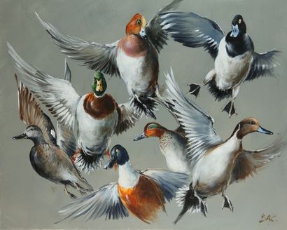 null Patrice BAC (1946). Flight of ducks. Oil on canvas signed lower right. Size...