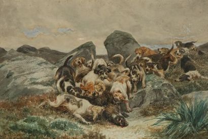 null Jules Bertrand GELIBERT (1834-1916). Wild boar hunting. The catch. The dogs...