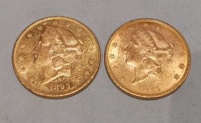 null 
2 pièces de 20 Dollars or datées 1893 et 1894 
usures



Frais 17 % HT soit...