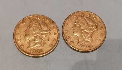 null 
2 pièces de 20 Dollars or datées 1902 et 1903
Usures



Frais 17 % HT soit...