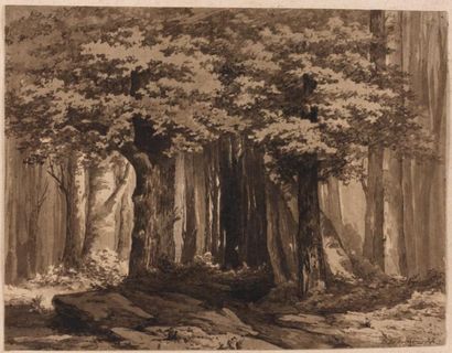Philippe de BOURBON (Actif au XIXème siècle) Vue d'une forêt 16,5 x 21,5 cm Signé...