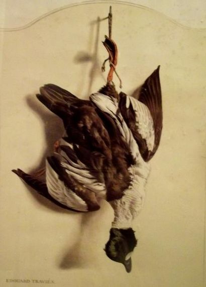 Edouard TRAVIES Le canard garrot Gravure en couleur de la série « La chasse ». Dim....