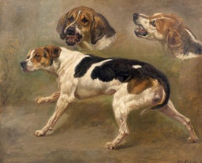 Jules Bertrand GELIBERT (1834 - 1916) Etude de chiens Huile sur toile signée en bas...