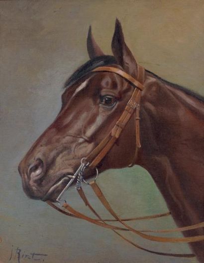 J. RIVET (XXème) Tête de cheval Huile sur toile marouflée sur panneau, signée en...