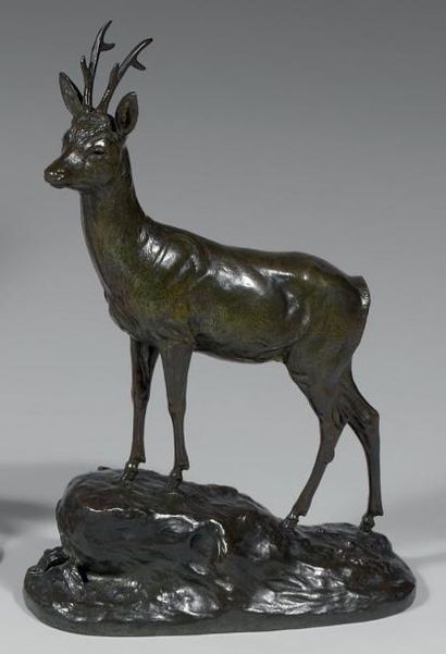 Clovis-Edmond MASSON (1838 - 1913) Le brocard Bronze à patine brun vert nuancé. Signature...