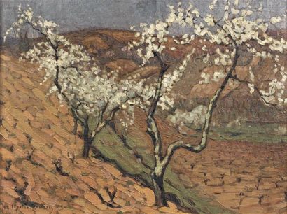 Jacques MARTIN-FERRIERES (1893-1972) Amandiers en fleurs Huile sur toile, signée...