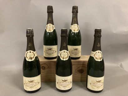 null "5 bouteilles CHAMPAGNE Jacquesson 1995 (Avize Grand Cru"", "