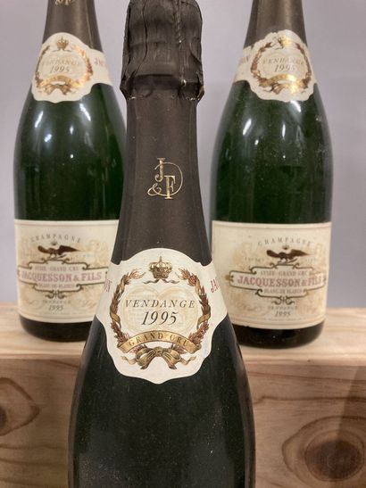 null "5 bouteilles CHAMPAGNE Jacquesson 1995 (Avize Grand Cru"", "