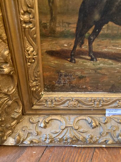 null Lot of two oil on canvas representing an Arab rider signed in lower right, dated...