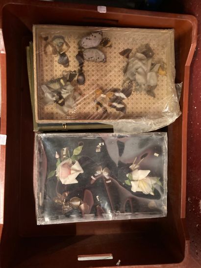 null Lot of five butterfly boxes, accidents

Lot sold as is