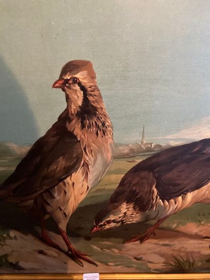 null Two red partridges on a landscape background

Framed chromolithography

41 x...