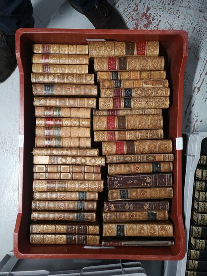 null 
4 manettes de livres reliés dont Buchon,Byron, Dictionnaire d'Histoire Naturel...