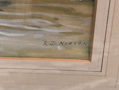 null NORTON, Vue des quai Ile Saint Louis, aquarelle signée en bas à droite, 32x49...